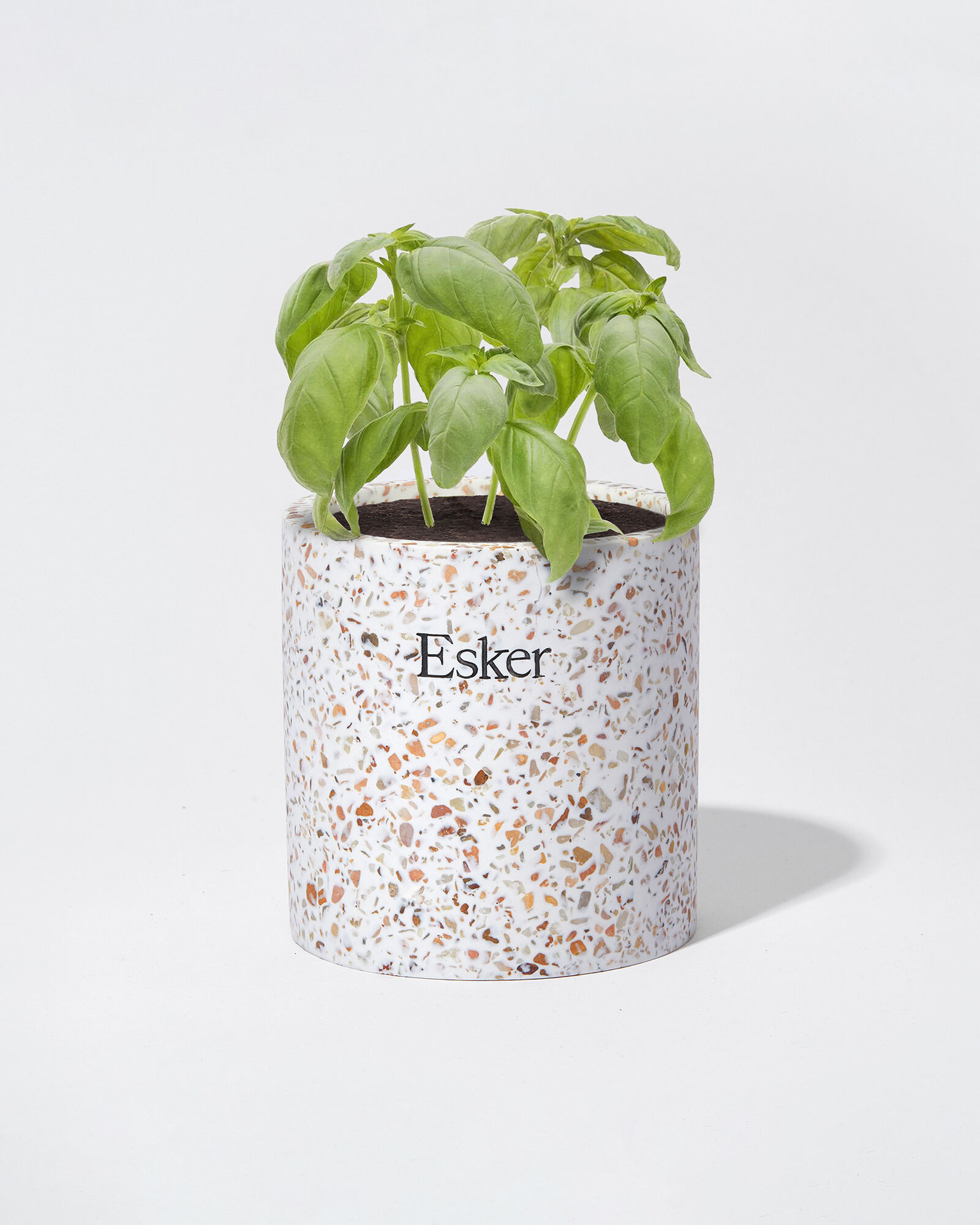 Esker Plantable Candle