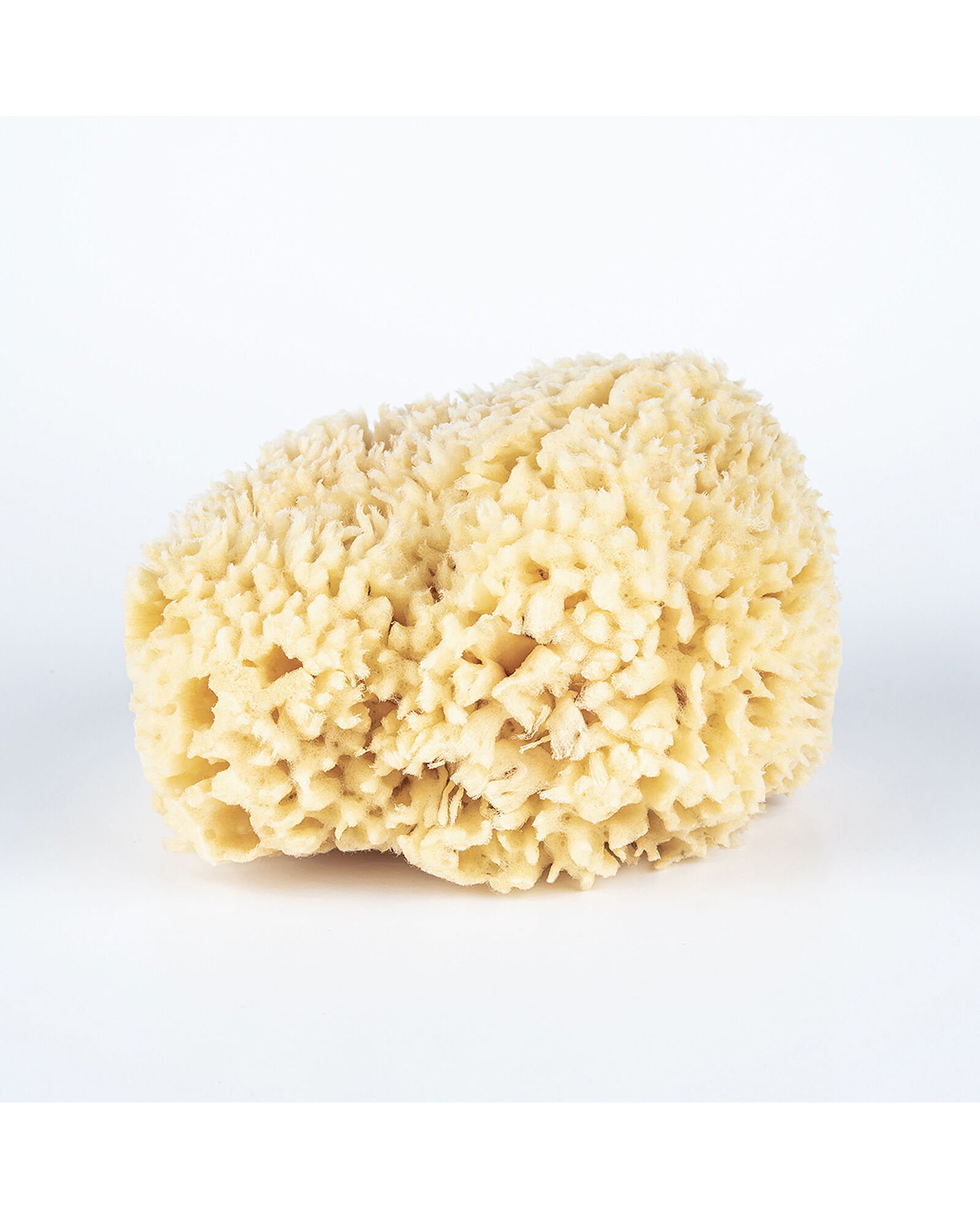 Baudelaire Large Sea Bath Sponge