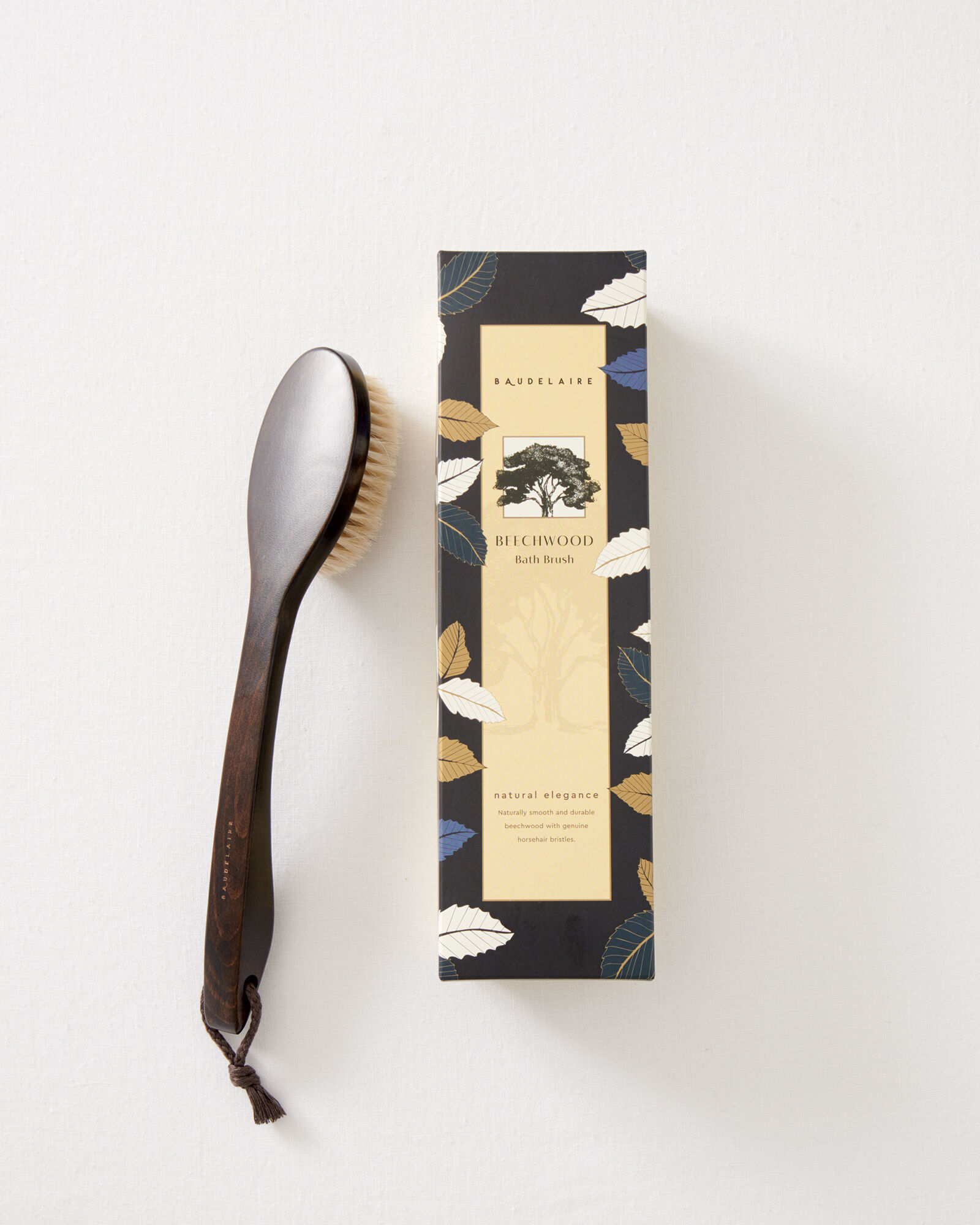 Baudelaire Dry Brush
