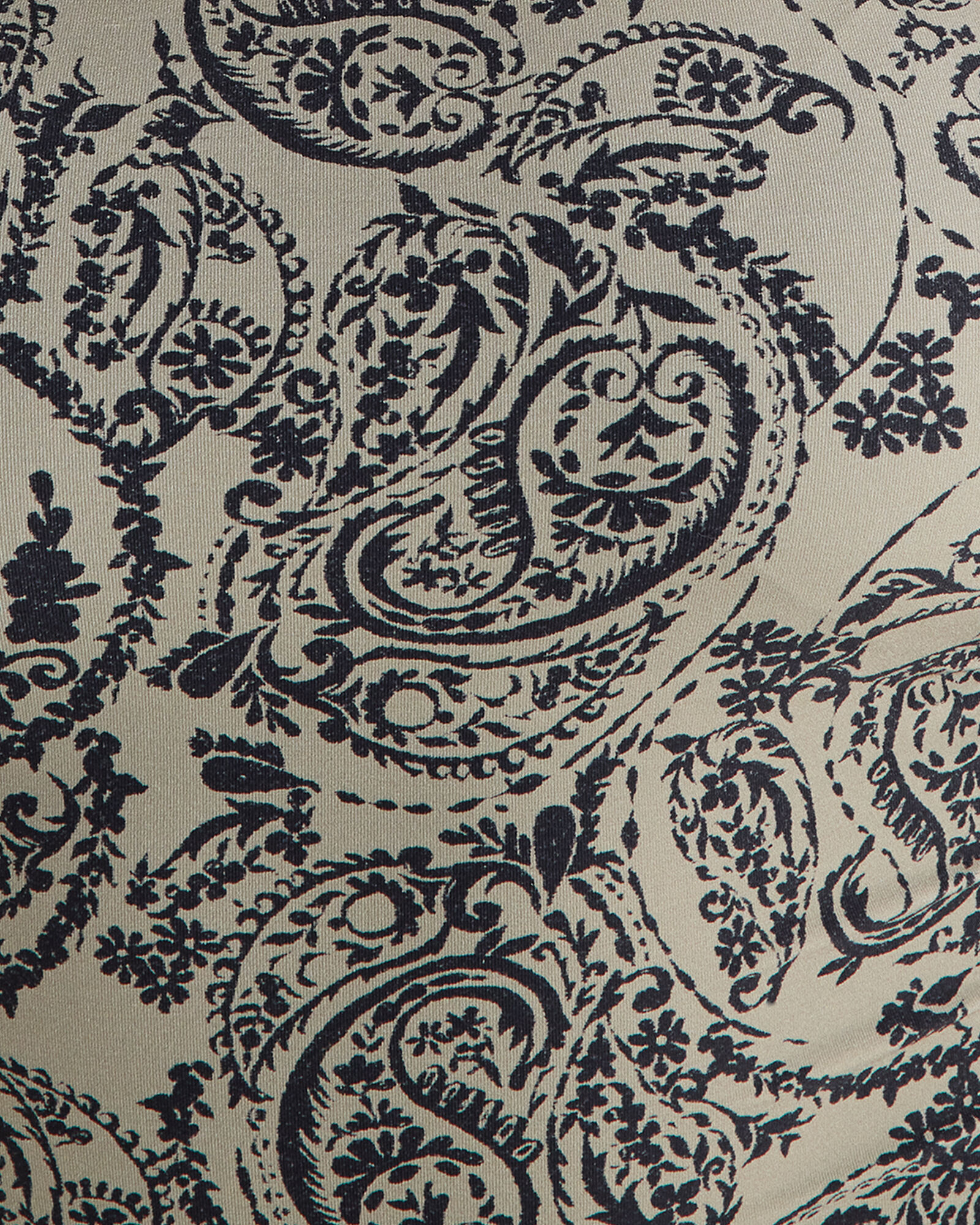 Paisley V-Neck One-Piece