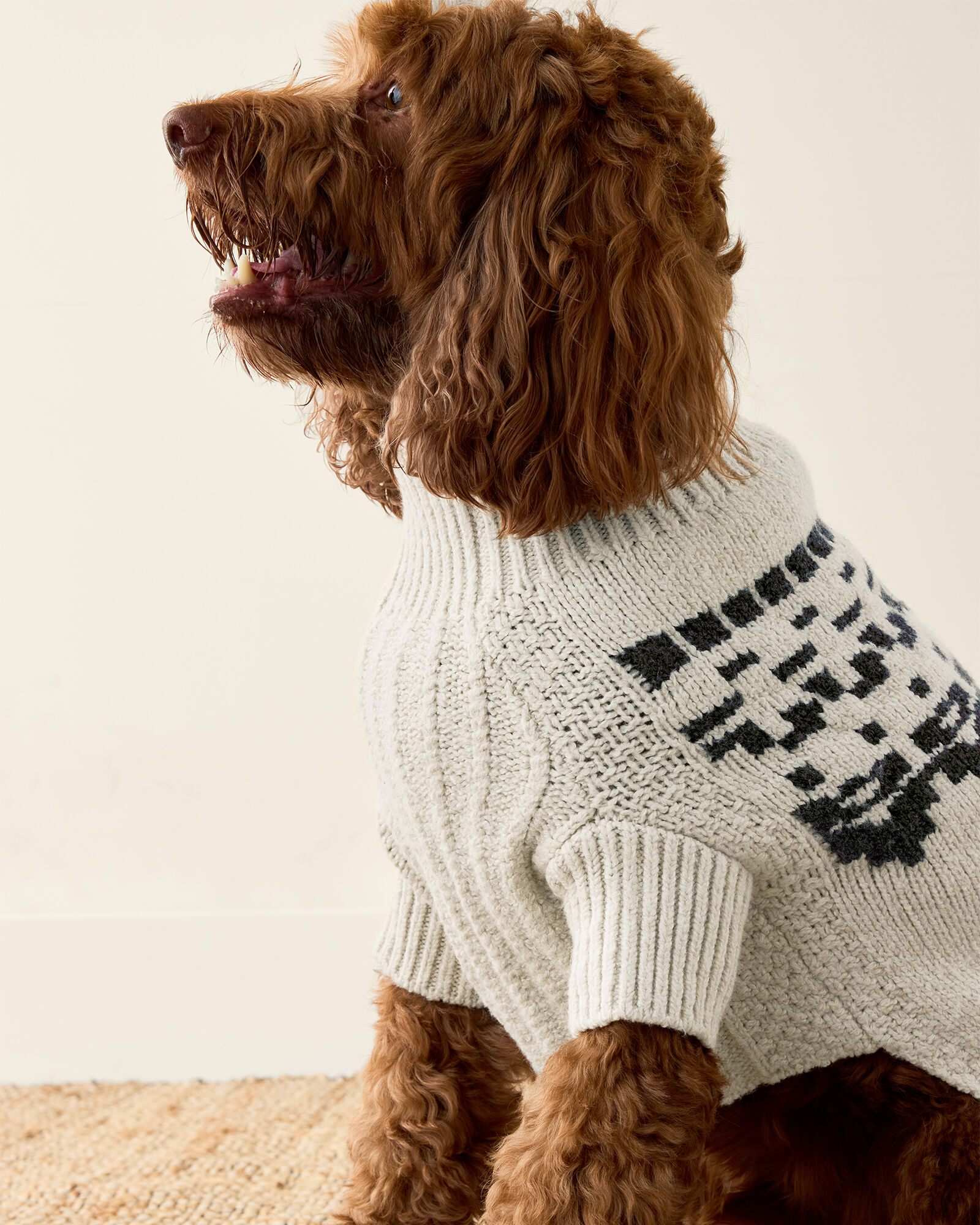 Organic Cotton Blend Juneau Fair Isle Dog Sweater