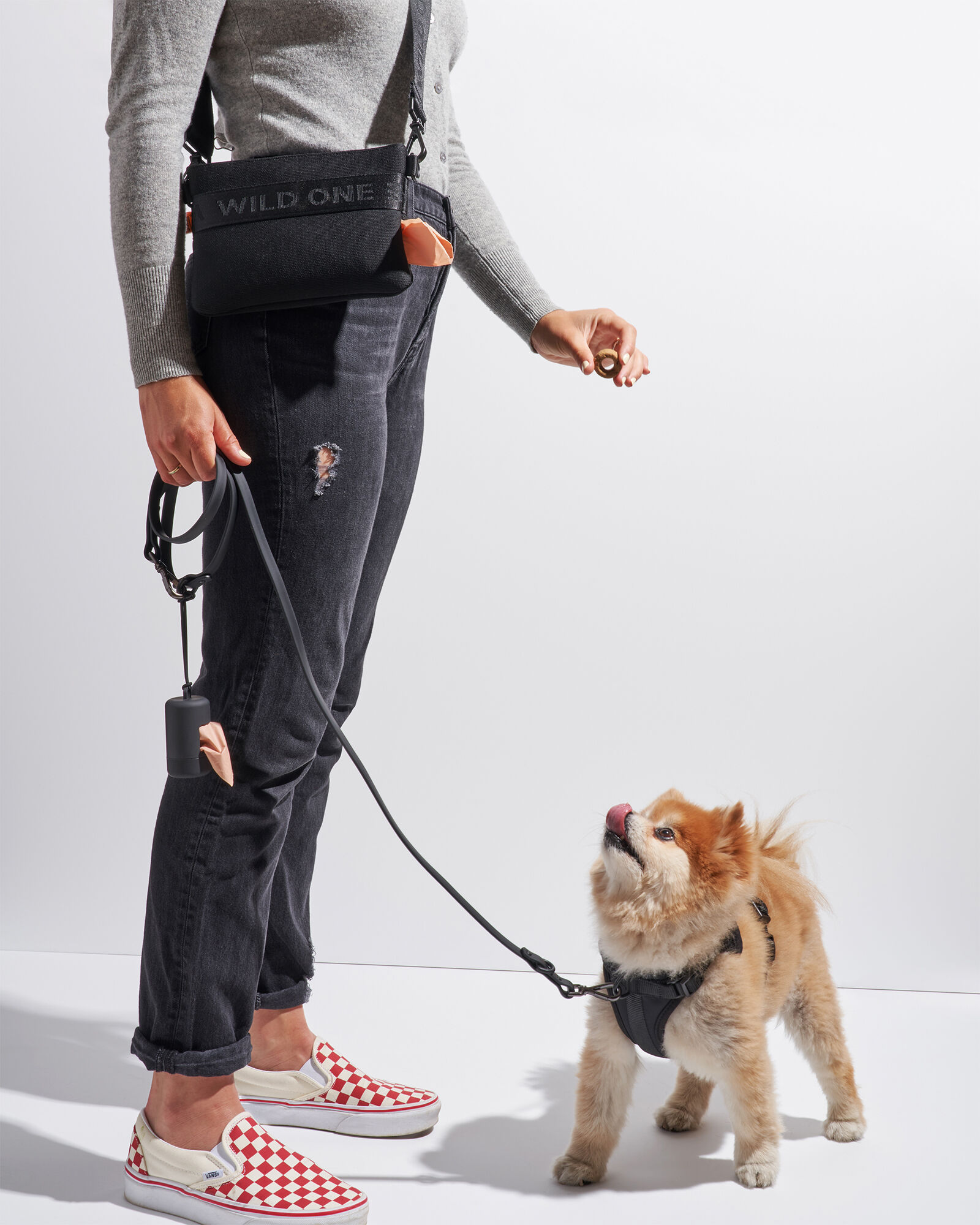 Wild One Recycled Pet Treat Pouch
