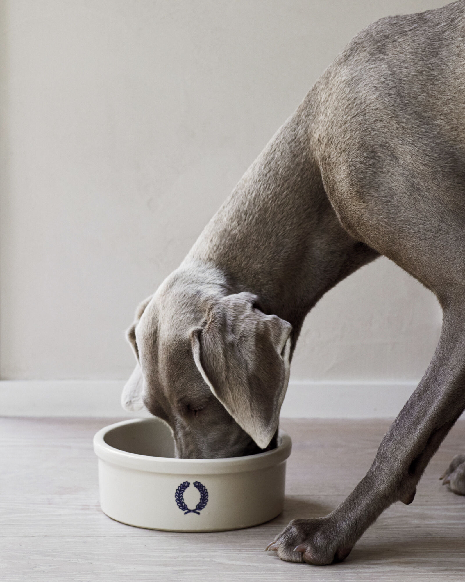 Farmhouse Pottery Laurel Dog Bowl