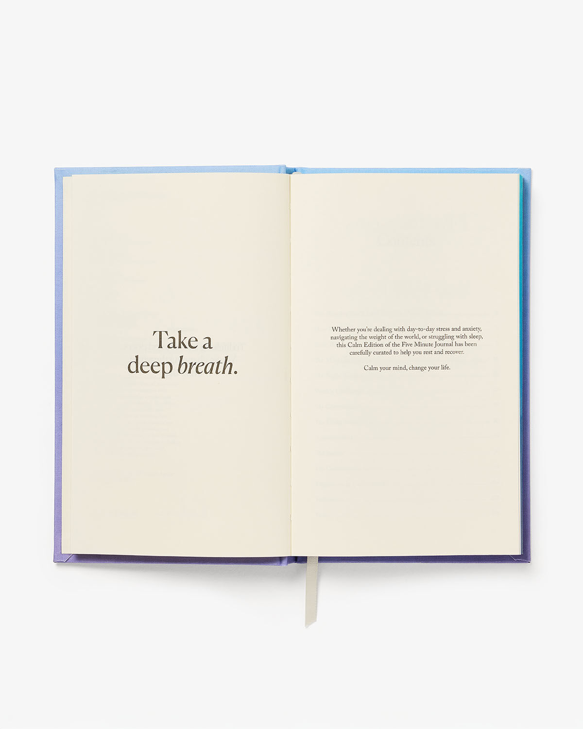 Intelligent Change Calm x The Five Minute Journal