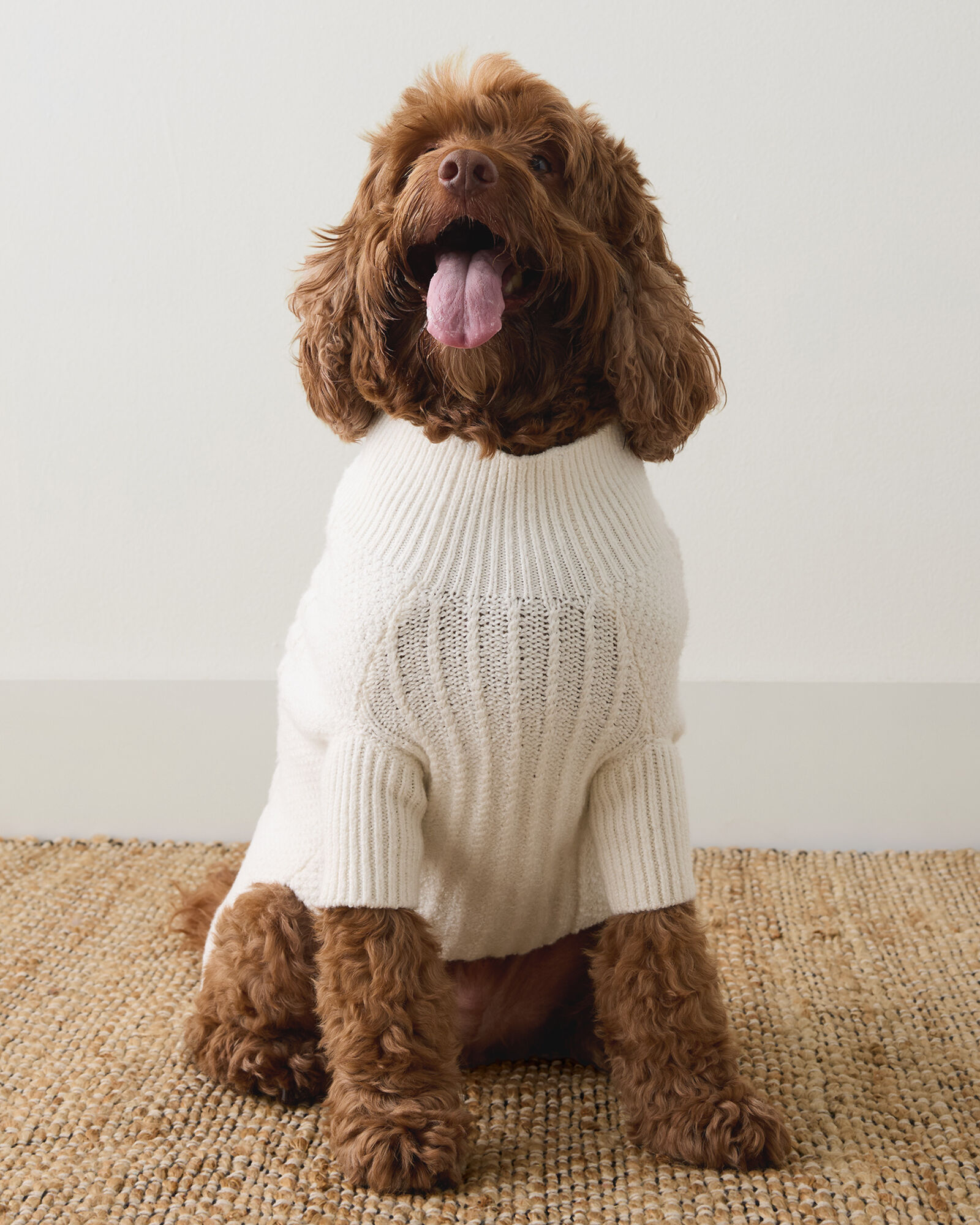 Organic Cotton Dog Sweater