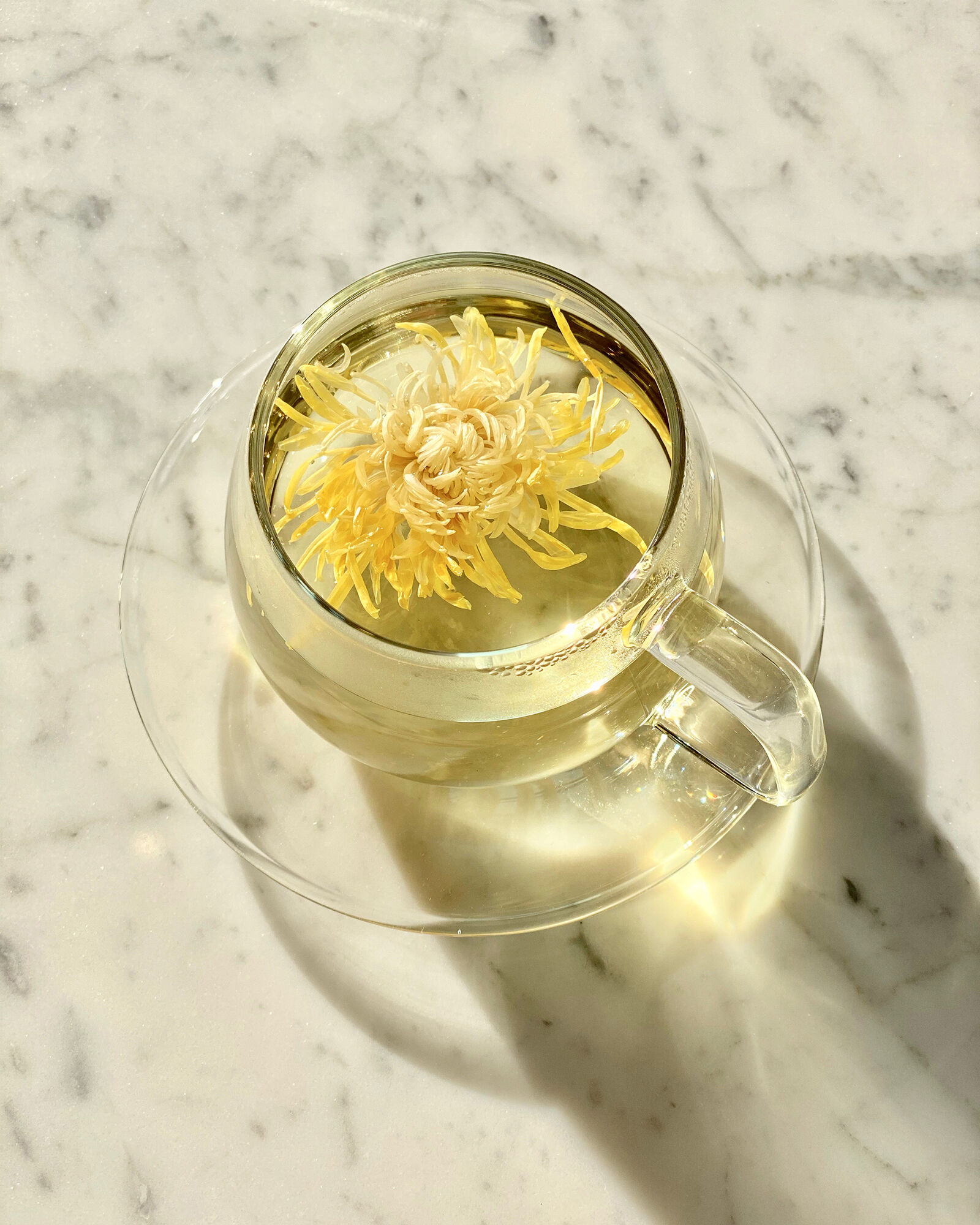 The Qi Glass Cup Set - Thumbnail 3