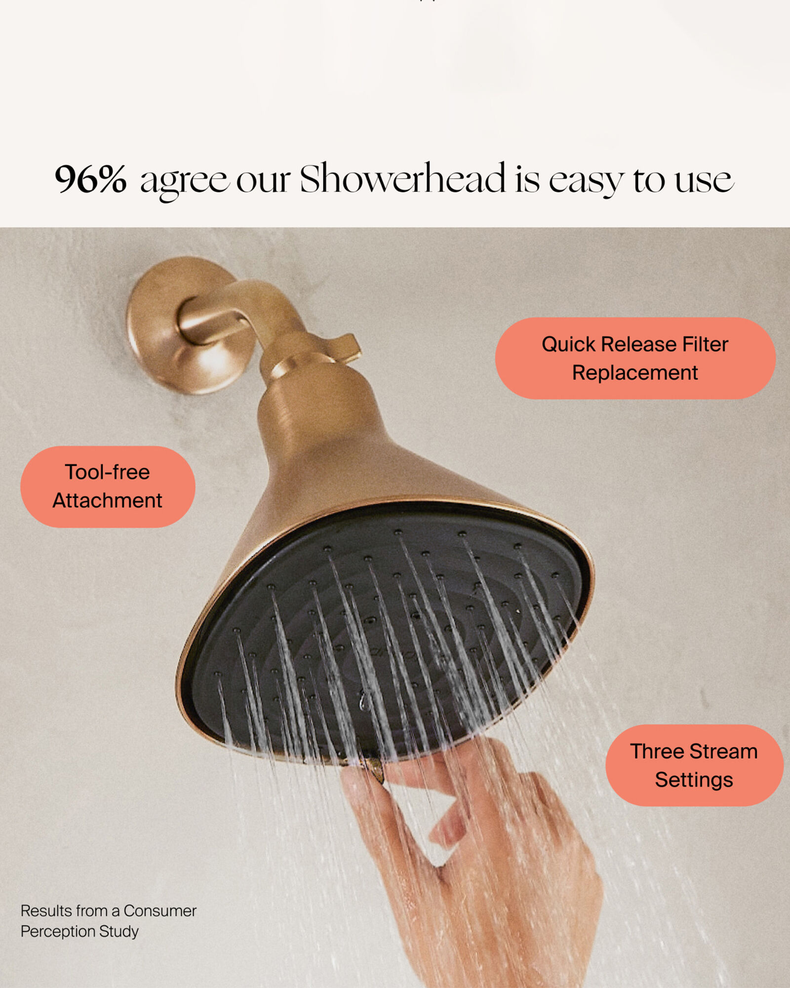 Canopy Filtered Showerhead