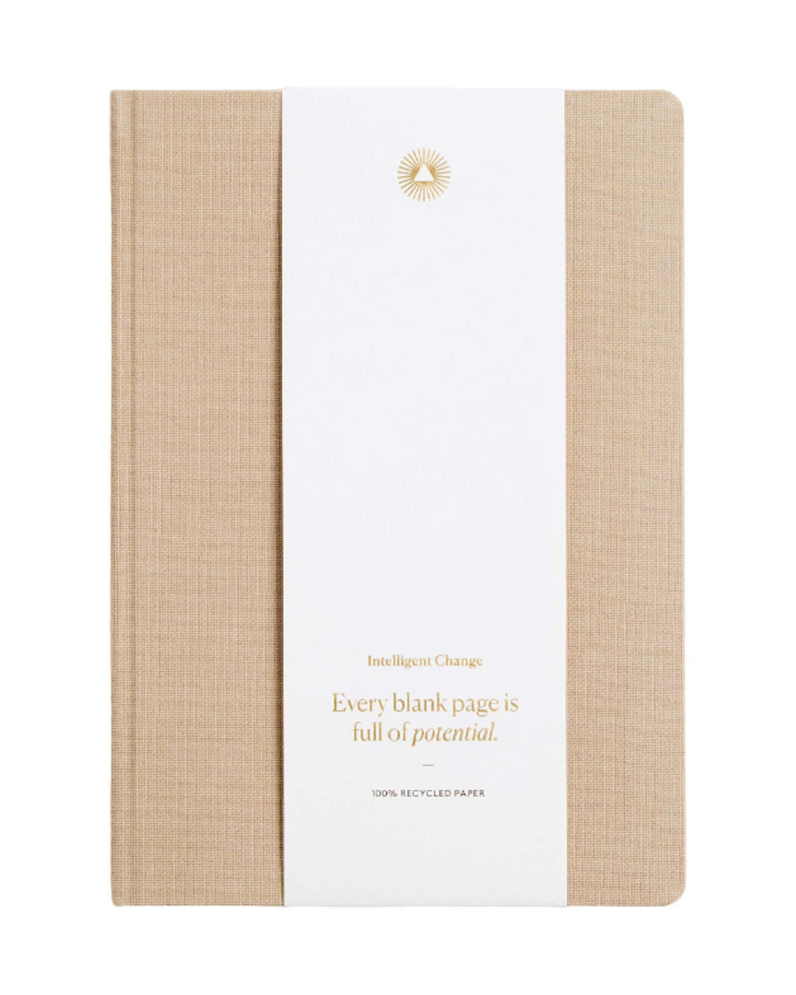 Intelligent Change Essential Notebook