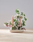 The Floral Society Ceramic Frog Bowl &amp; Taper Holder