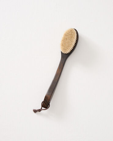 Baudelaire Dry Brush