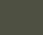 SHINY FOREST GREEN