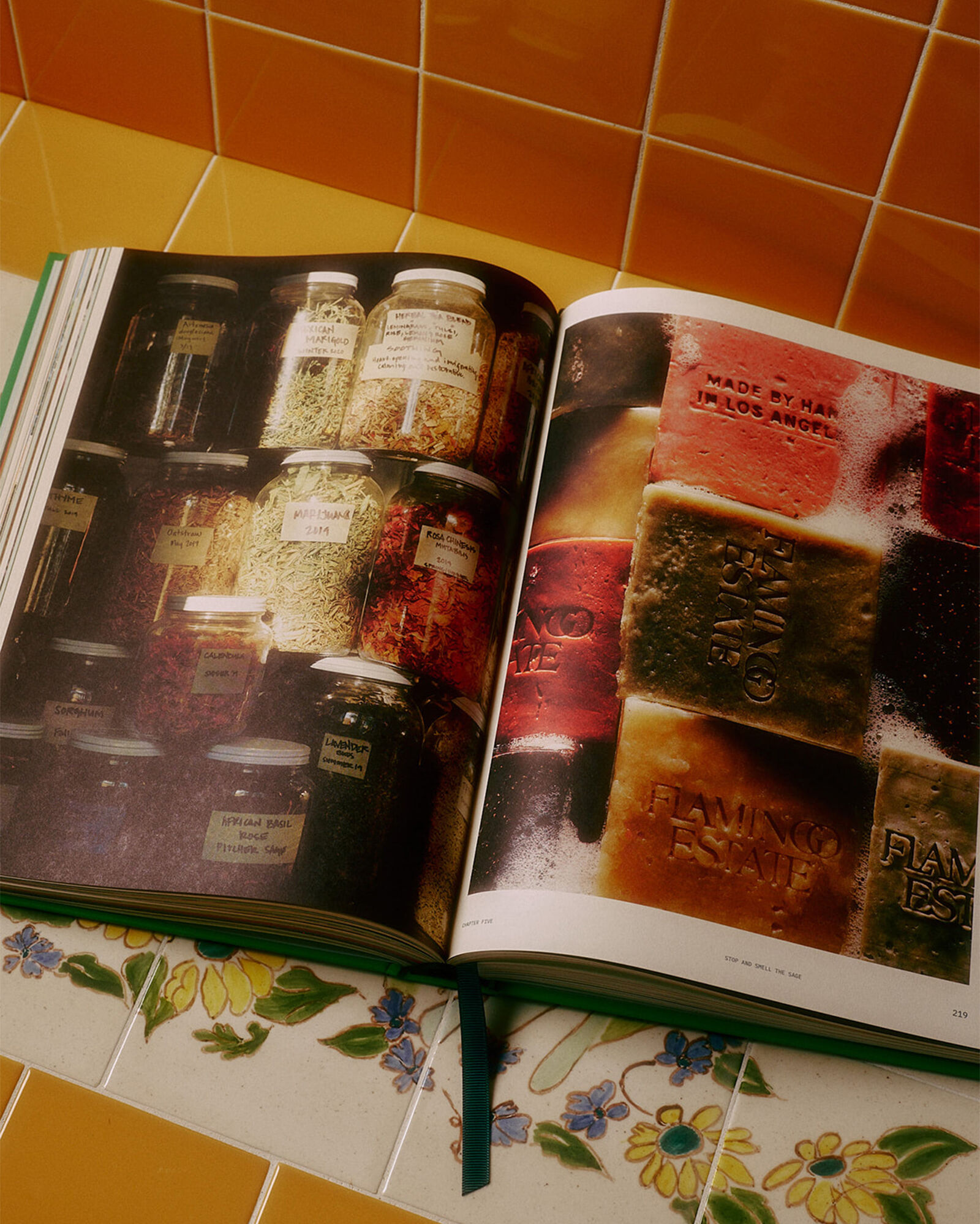 Flamingo Estate's The Guide to Becoming Alive Book