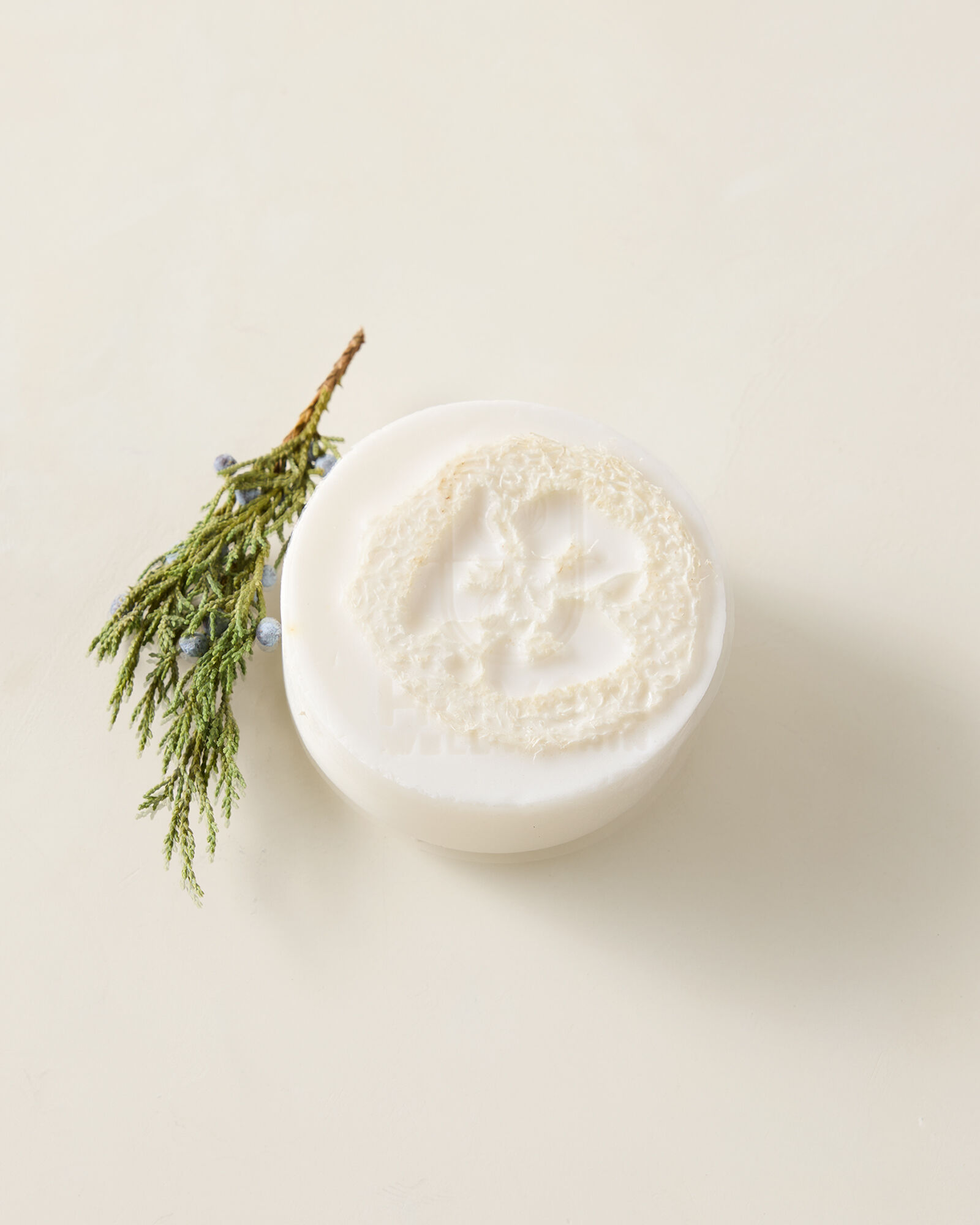 Cleanse Gourmet x Haven Well Within Gather Loofah Bar