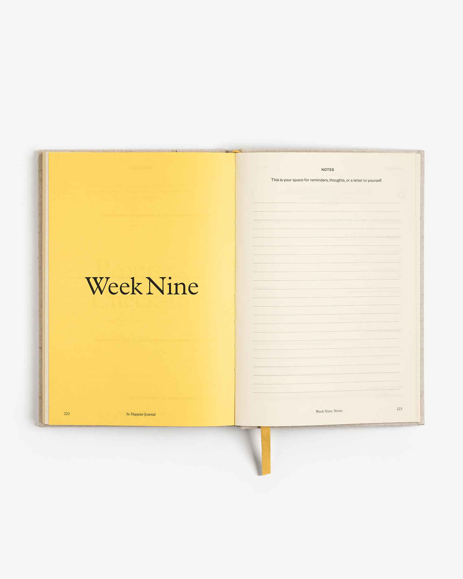 Intelligent Change 3x Happier Journal