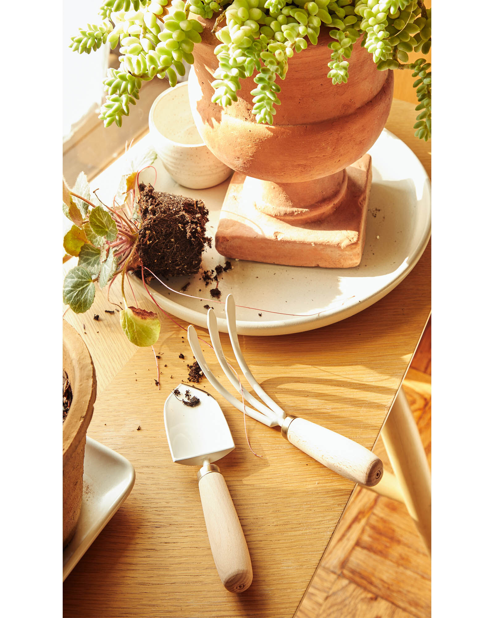The Floral Society Japanese Garden Tool Set