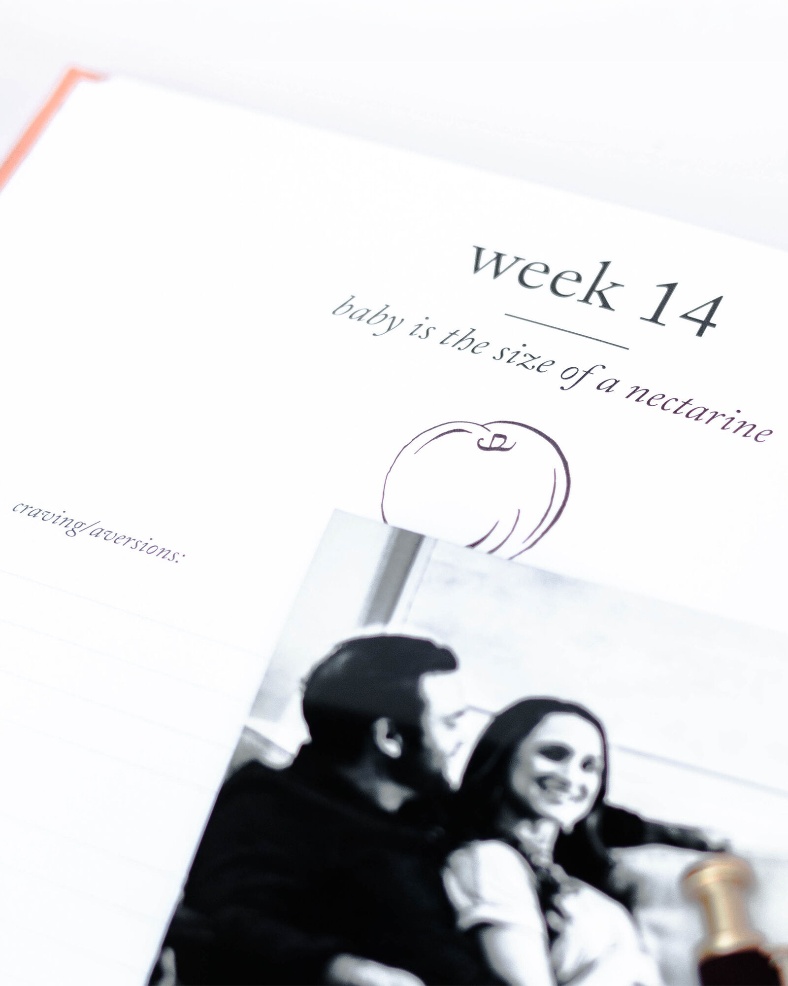 Duncan &amp; Stone Paper Co. Pregnancy Journal