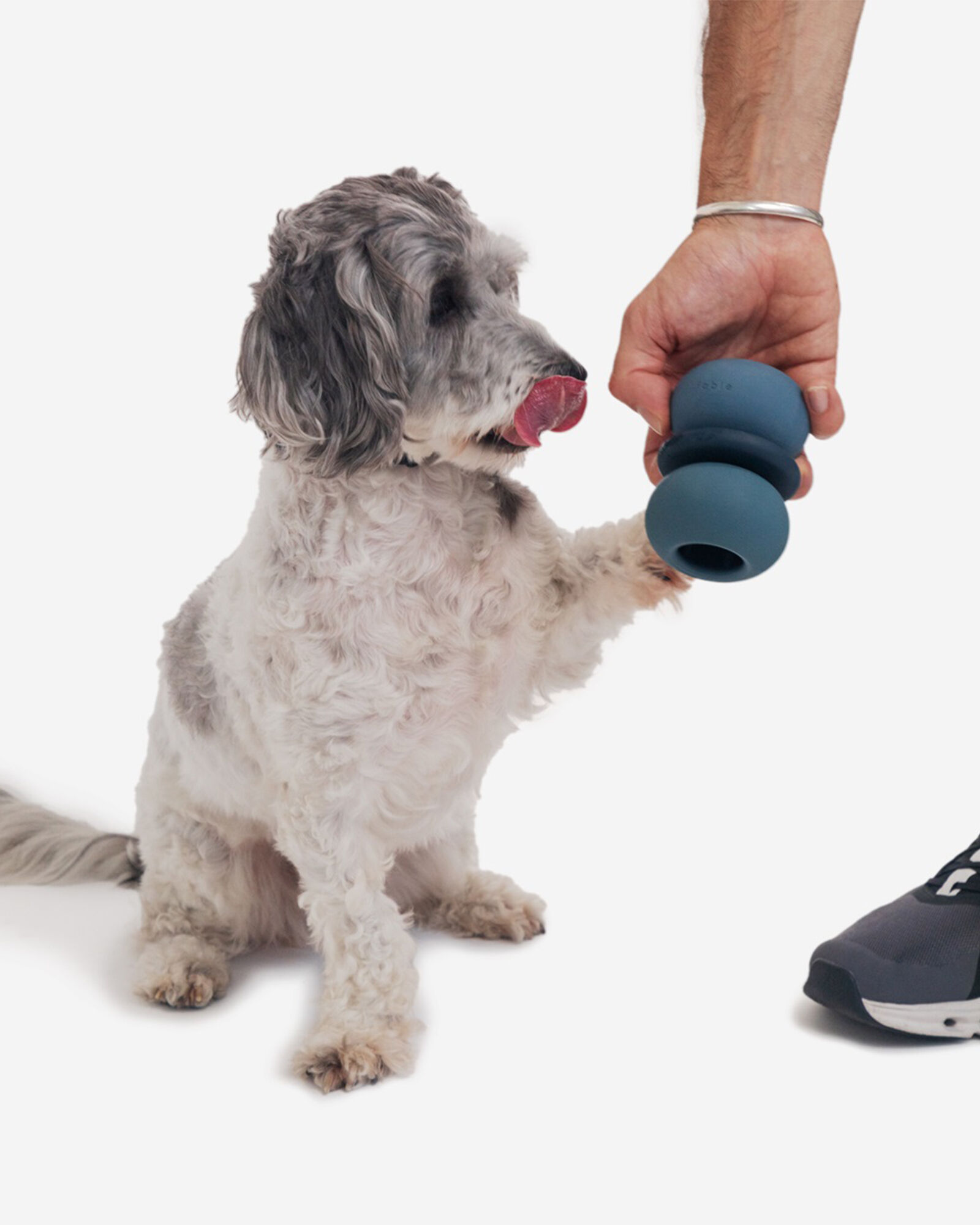 Fable Armadillo&trade; Pet Toy