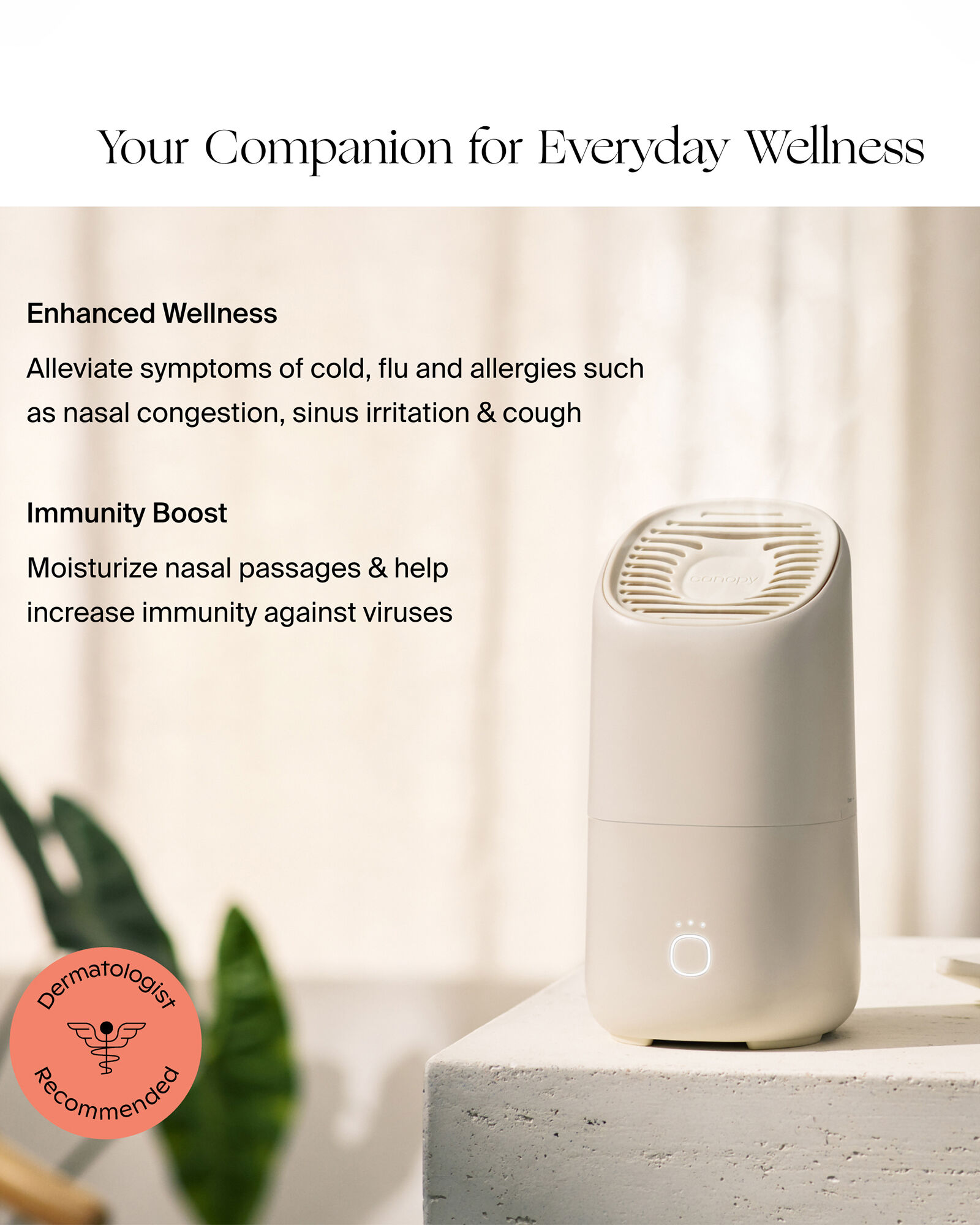 Canopy Portable Humidifier