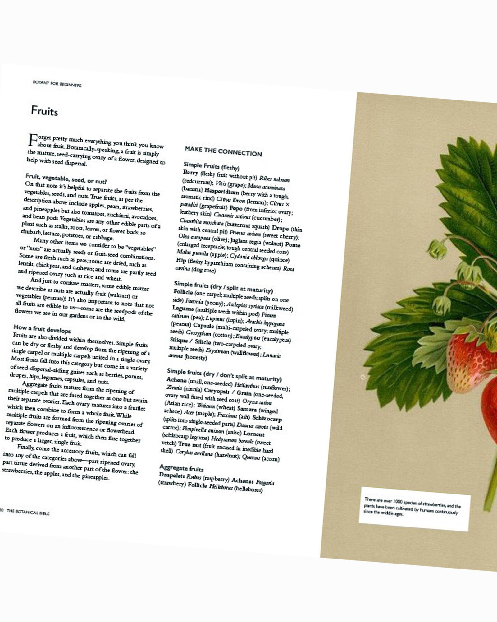 Collins Botanical Bible