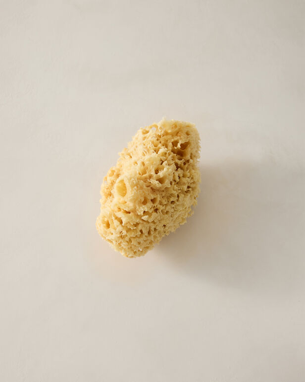 Baudelaire Large Sea Bath Sponge