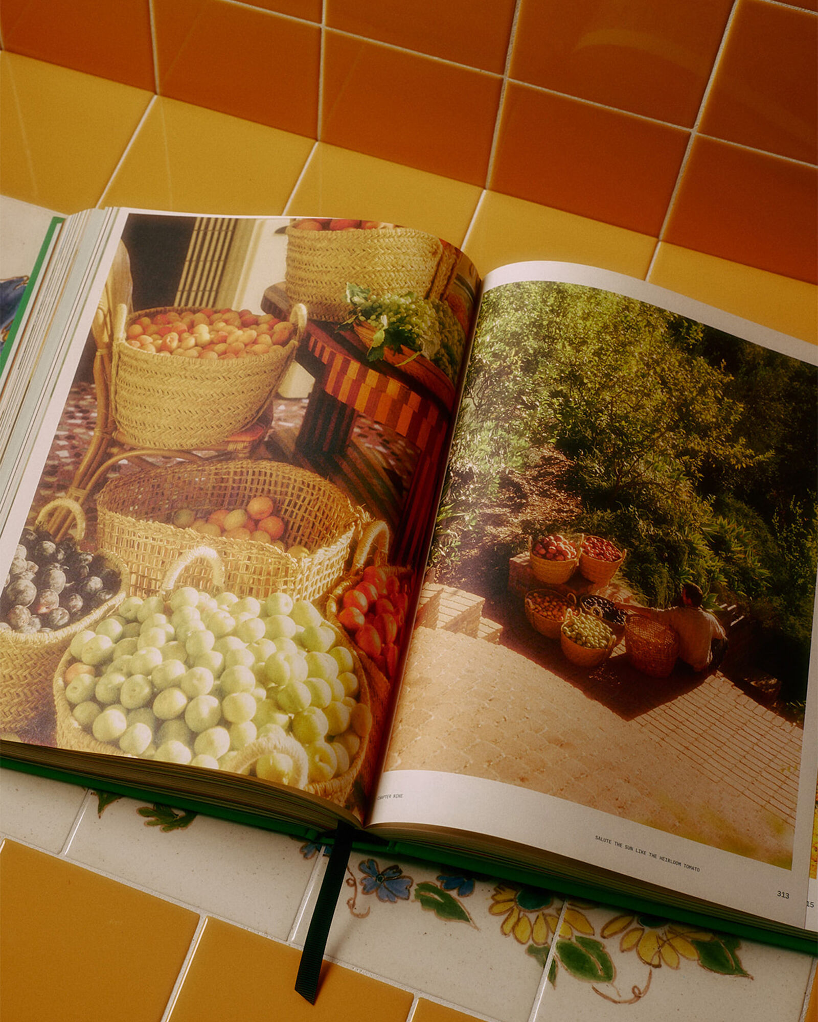 Flamingo Estate's The Guide to Becoming Alive Book