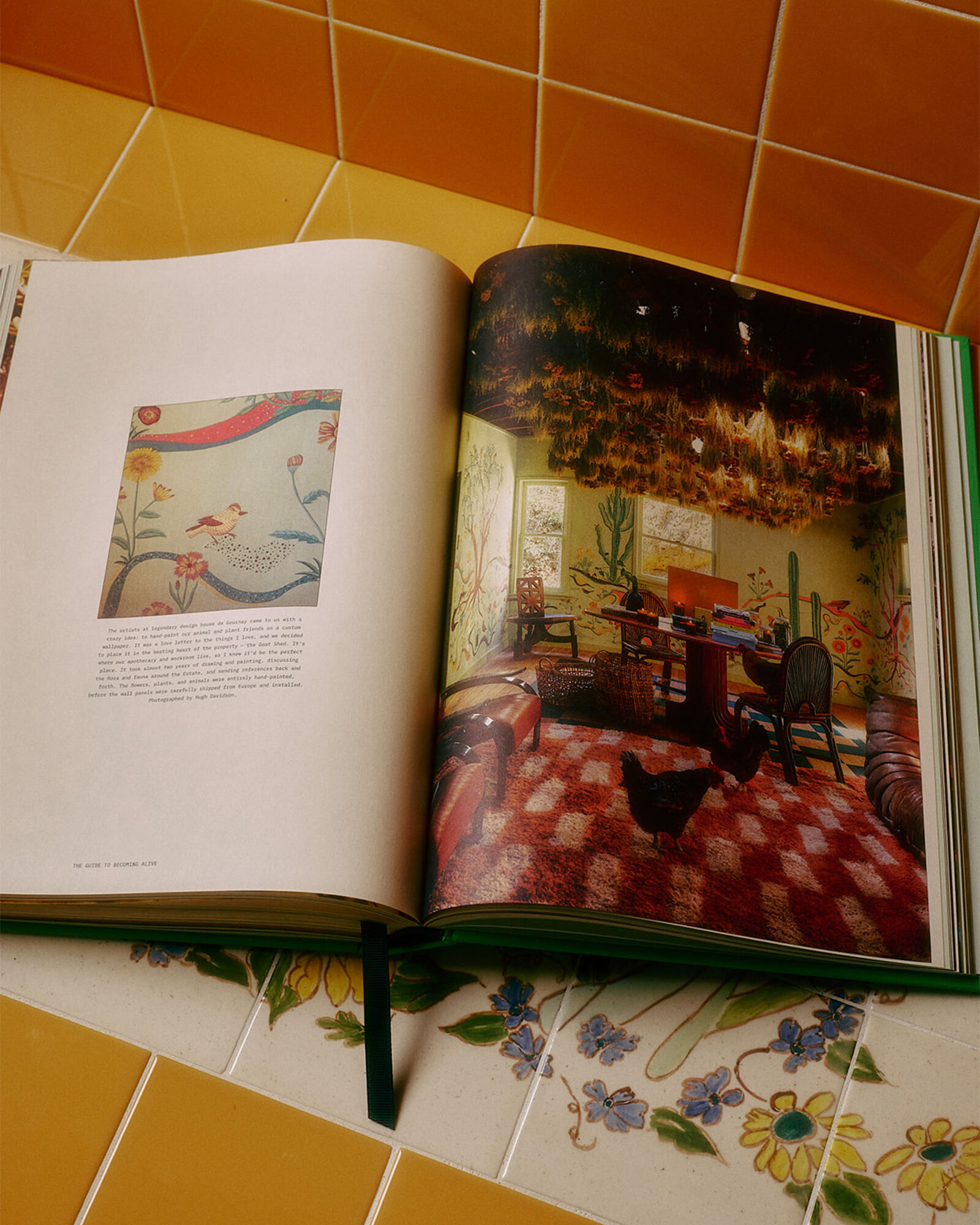 Flamingo Estate's The Guide to Becoming Alive Book