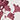 IVORY/RED WINE