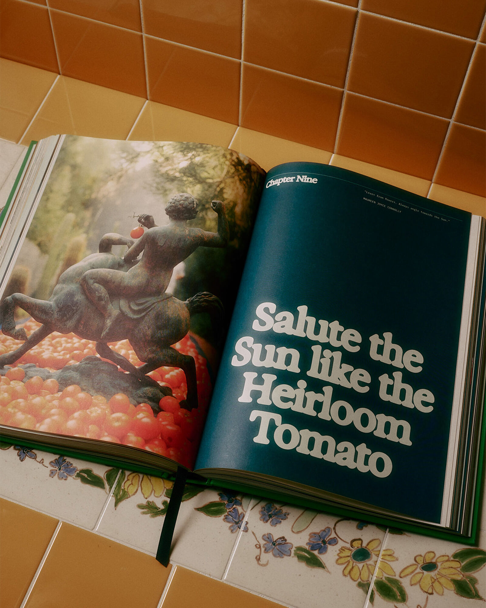 Flamingo Estate's The Guide to Becoming Alive Book