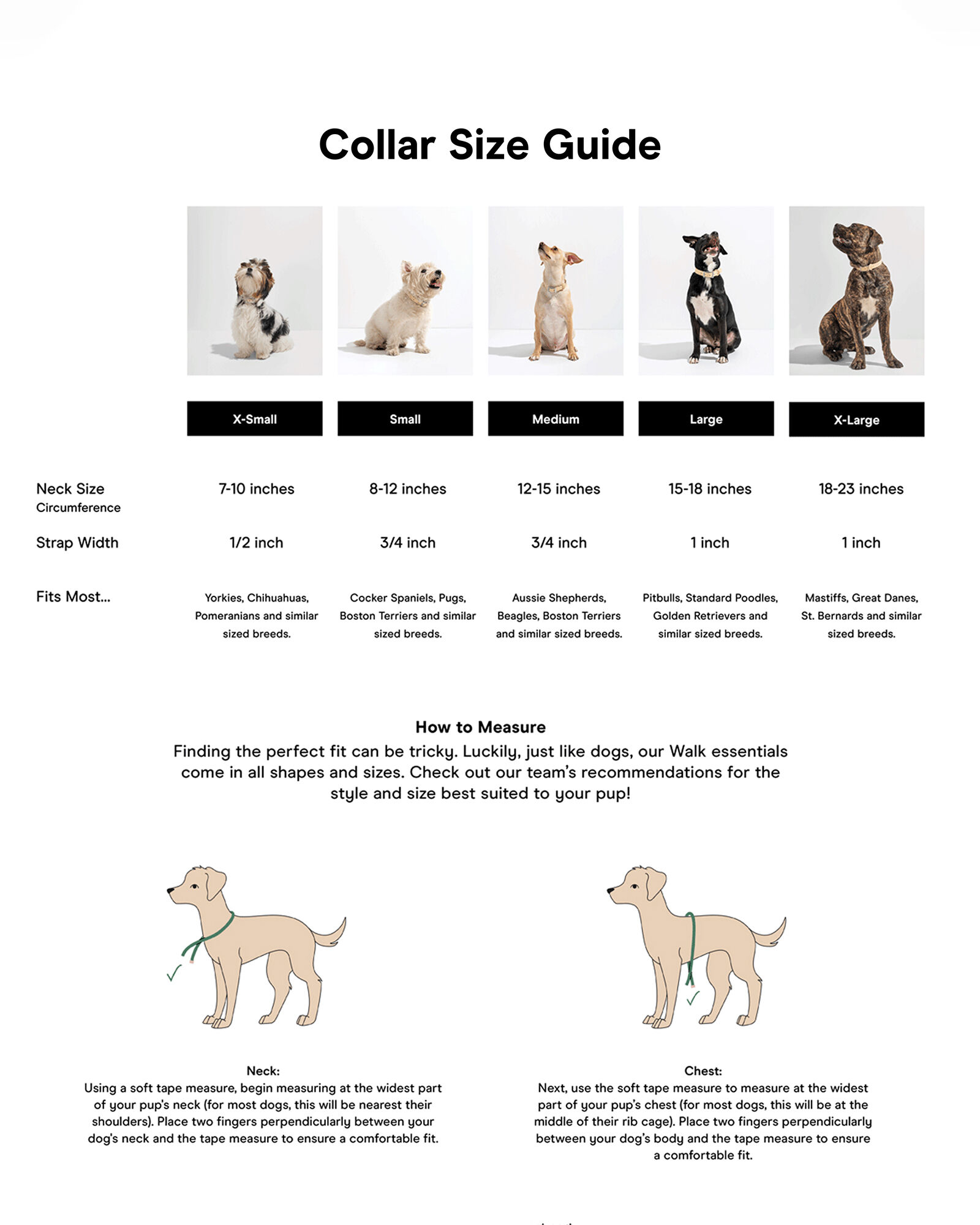 Wild One Collar