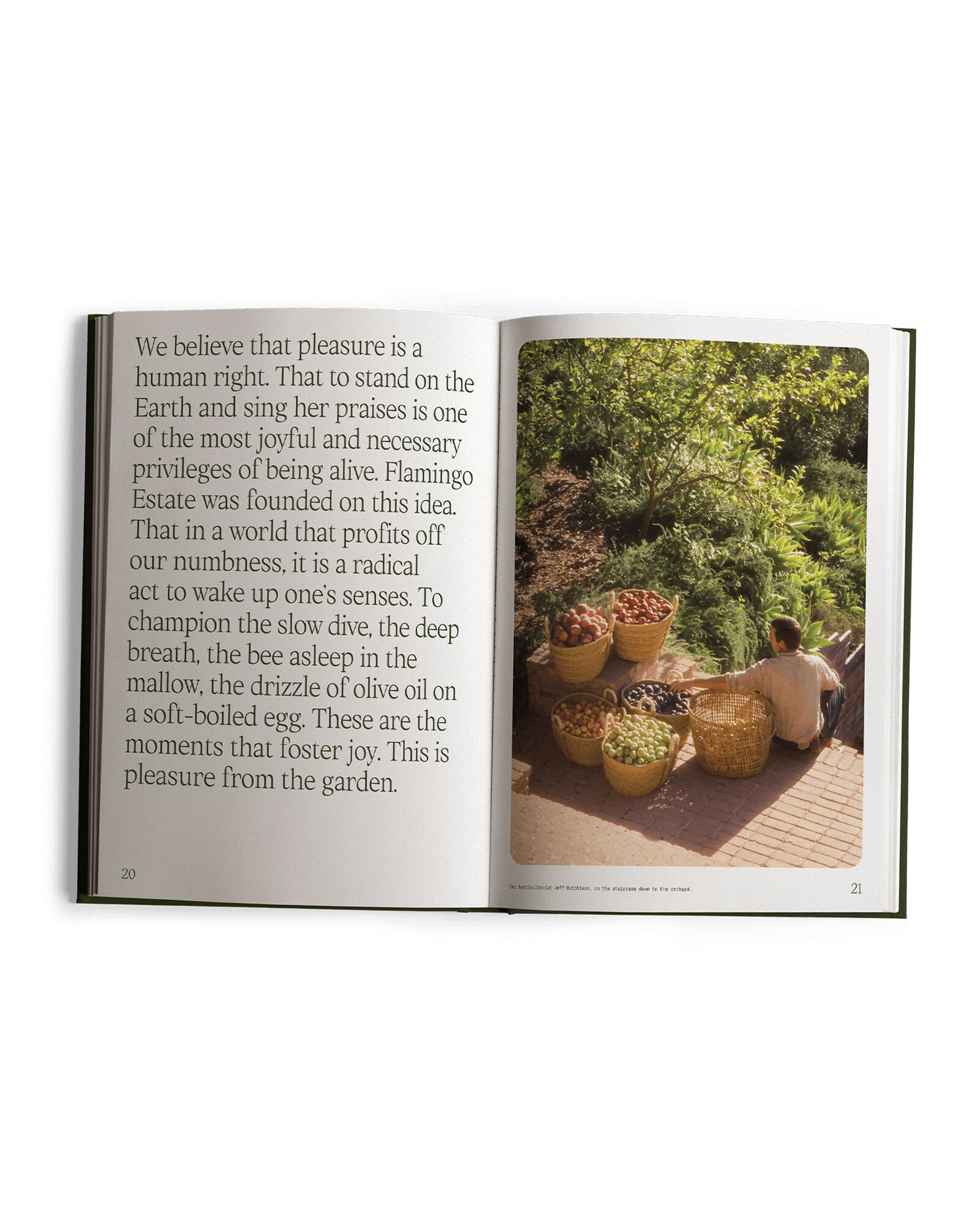 Flamingo Estate's Fridays From the Garden Cookbook