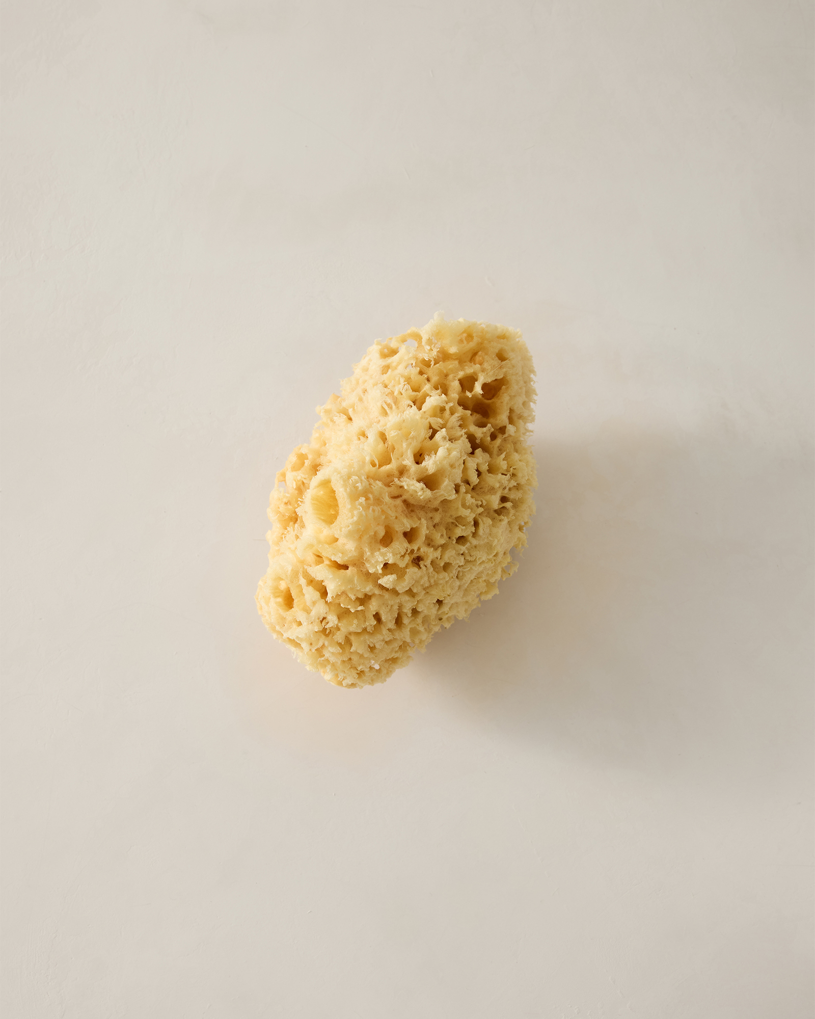 Baudelaire Large Sea Bath Sponge $26