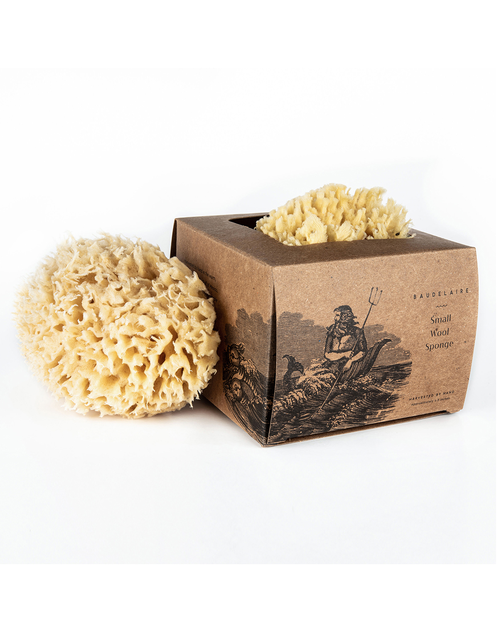 Baudelaire Small Sea Bath Sponge $20